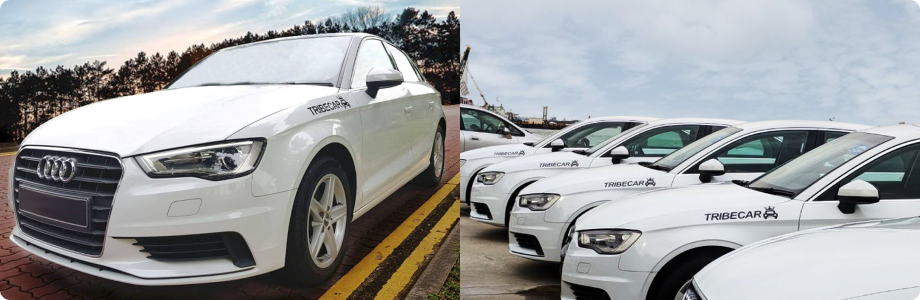 Tribecar sedan fleet on the road